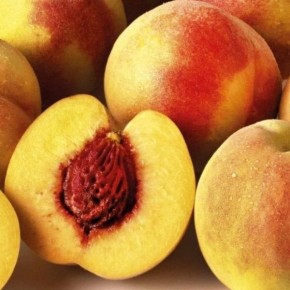 ������ �������� 86: ����� � �������������� ����������� ��� ���������