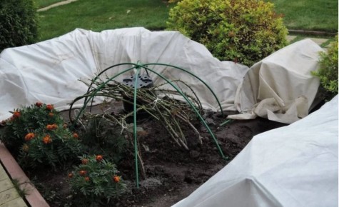 ������ ������: ������� ��� � ���������