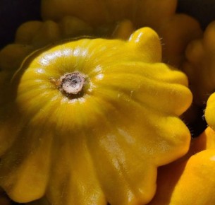 ���� ��������� �������������: �� ���������� �� �������