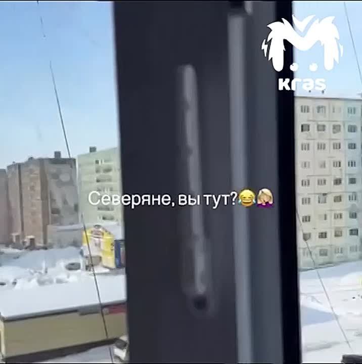 ���� ��������� ����� � ���������� � ��������