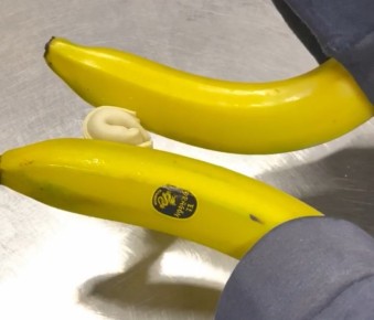 ������: ������ �� ��������������� �� ����� ��� ������