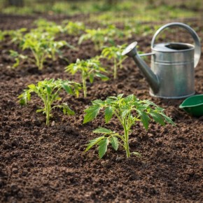 ��� ���������� ������� ��� �������� ����������: 5 ����������� ��������