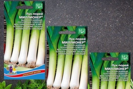 Лук Миллионер: Как удивительный сорт стал фаворитом огородников и кулинаров