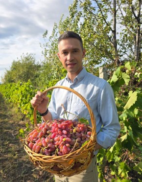 ��������: ��������, ������� ������� ������������