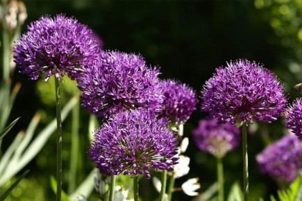 ���� �� ������������ ����� ����� ��������: ������� � ������ ��� ���������