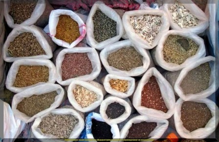 ��� ������� ������������ ������ ������: ������ ������� �����������