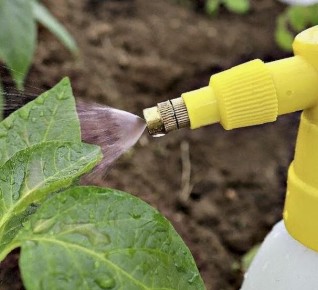 ����������� ���������: ������� �������� ������� �������