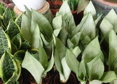 ��� ������� ������ ����� � ����: ������ �������� ��� ������ ����