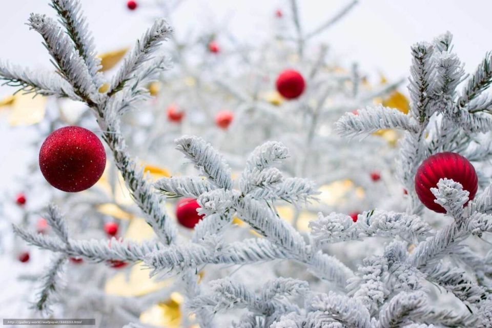 ���� ���������: ������� ���������� � ��� �������� �����