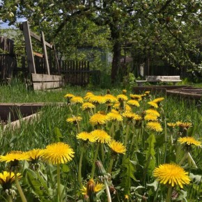 ���������� � �������: ���������� ���������� ���������