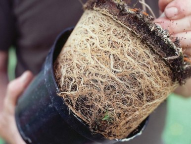 ����� � ����: ������� �������� ��������� �������� � ���� ������� ���������