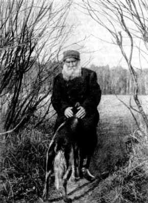 ����������� � �������������: ����, ������������� �� ��������