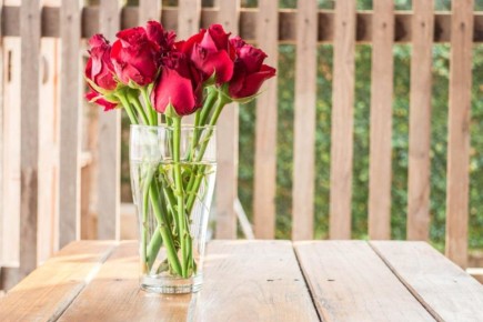 ��� �������� ����� ������: ������� ���������� �������� ������