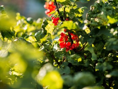 ��� ������� ���������? ���� ������� ������ ��������� ��� ������