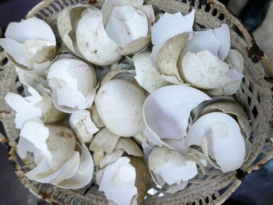 ������������ ���������: ������ �������� � ����� ��� ������� ����� � ����� ����