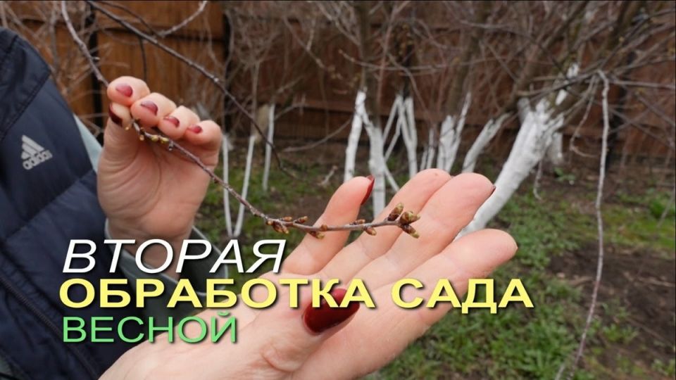 ������� �������� ��������� ���� � ���� �������� ������