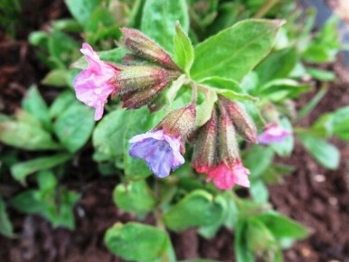 ��������: ��� ������� ����� ������ ���� �������� �����������