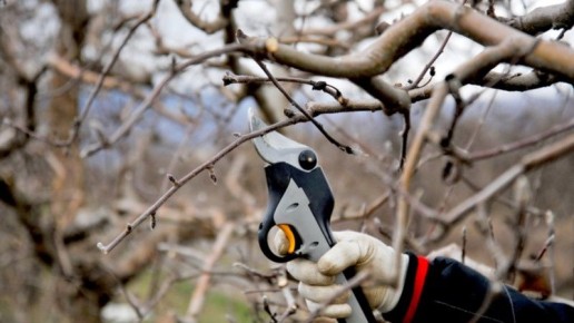 ������ �������: �������� ���� ������� �� ������� ���