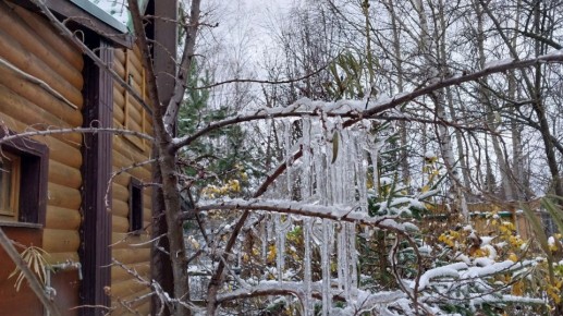 ������ ���� ������: ���������� �� ����