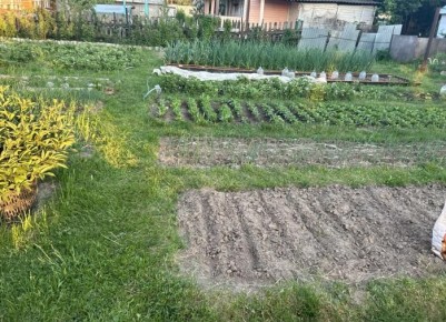 ��� ����� ������� � �������: ������� ������ � �����