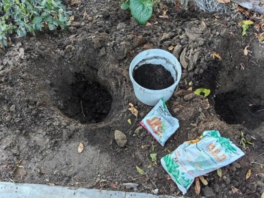 ����������� ���������� ������� ������: ������� ������