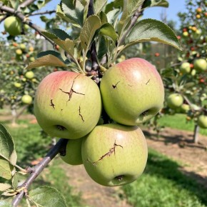 ������ ������ � ����� ���������� � ��� ��� �������������