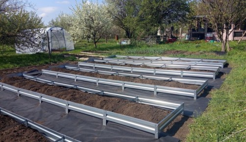 ��� ��������� ����������� ������ ��� ��������� ������