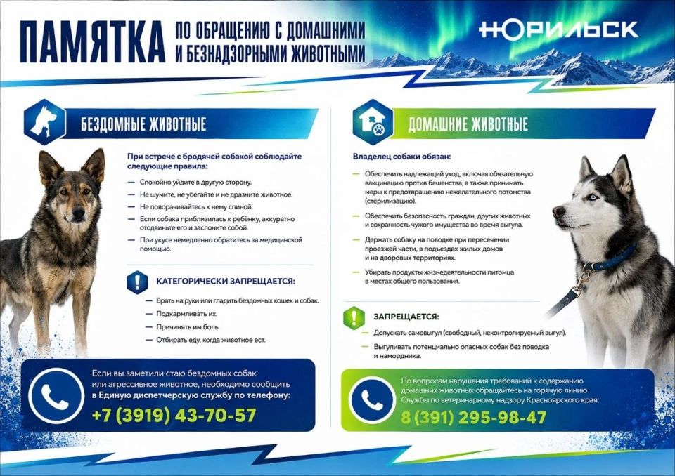 Для 11-х классов экзамены начались 1 июня и продлятся до 9 июля 2026 года, для 9-х классов — со 2 июня по 6 июля 2026 года Для 11-х классов экзамены начались 1 июня и продлятся до 9 июля 2026 года, для 9-х классов — со 2 июня по 6 июля 2026 года