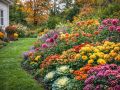 ��� ������� ������������� ����� ��� �������� ����