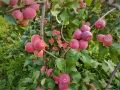 ������ ������ ���������: ��� ����� ������� � ���� ��� ������, ���� � ������� �����������