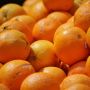 Как апельсиновые корки становятся настоящим сокровищем для дачников