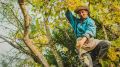 Возвращение Паиса: виноград, который связал континенты