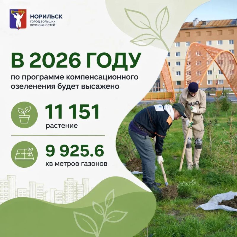 Друзья, мы видим ваши вопросы и комментарии о работах по озеленению города Друзья, мы видим ваши вопросы и комментарии о работах по озеленению города